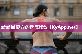 最最最便宜的乒乓球台