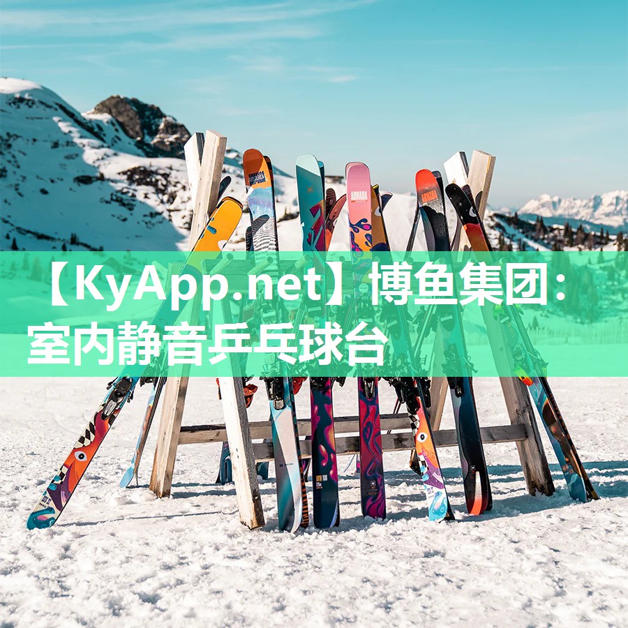 博鱼集团：室内静音乒乓球台