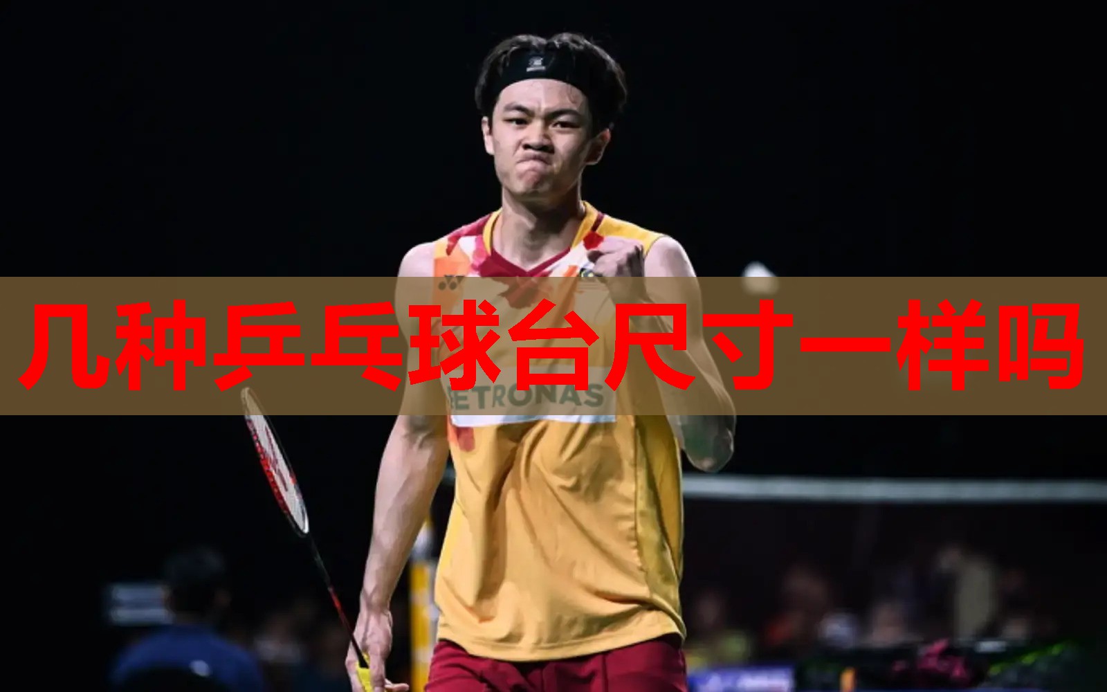 几种乒乓球台尺寸一样吗