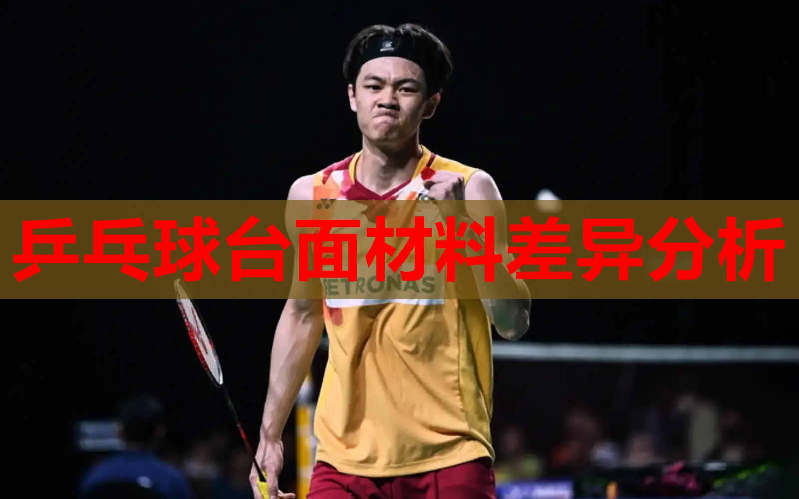 乒乓球台面材料差异分析