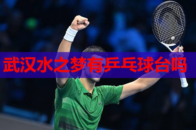 武汉水之梦有乒乓球台吗