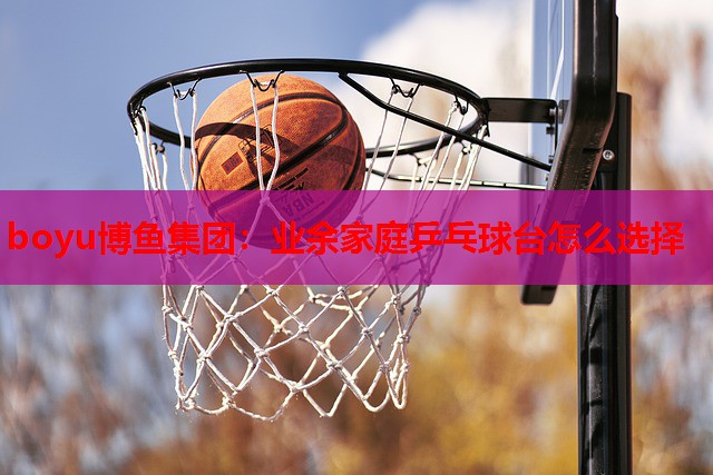 boyu博鱼集团：业余家庭乒乓球台怎么选择