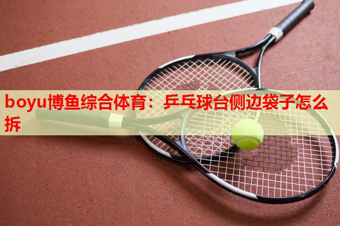 boyu博鱼综合体育：乒乓球台侧边袋子怎么拆