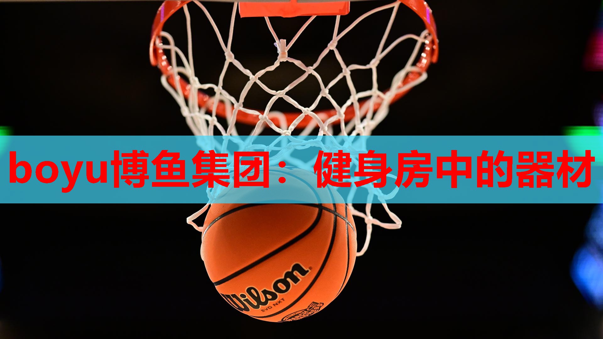 boyu博鱼集团：健身房中的器材
