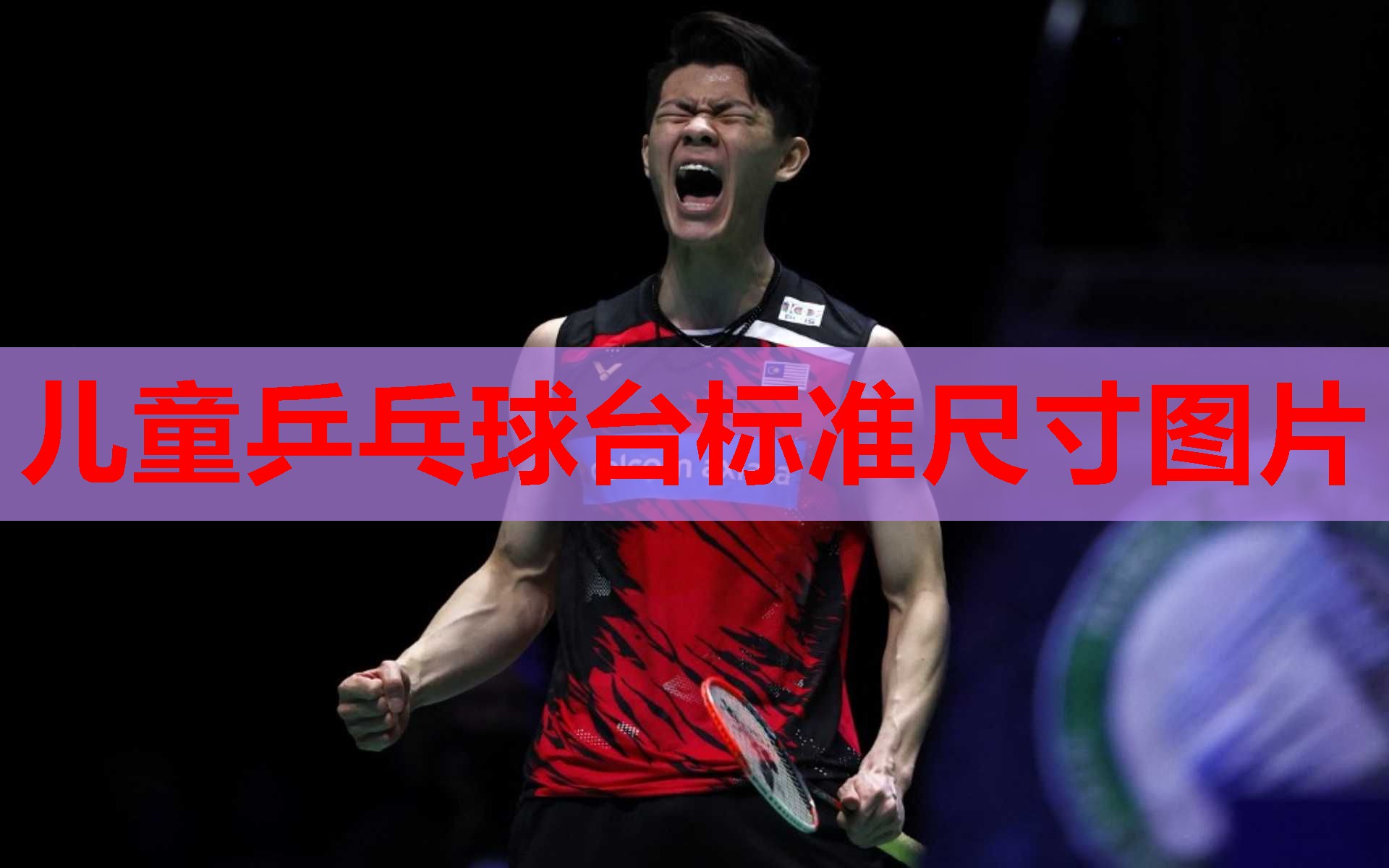 儿童乒乓球台标准尺寸图片
