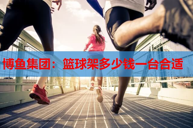 博鱼集团：篮球架多少钱一台合适