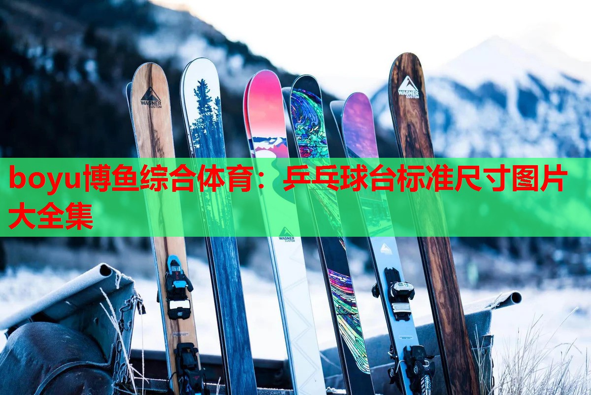boyu博鱼综合体育：乒乓球台标准尺寸图片大全集