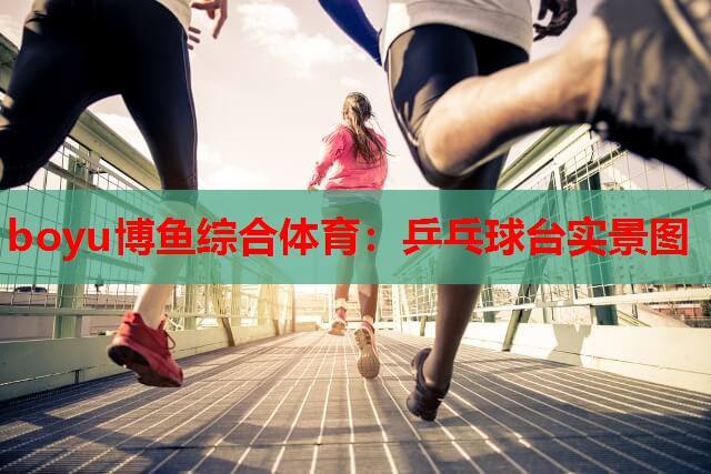 boyu博鱼综合体育：乒乓球台实景图