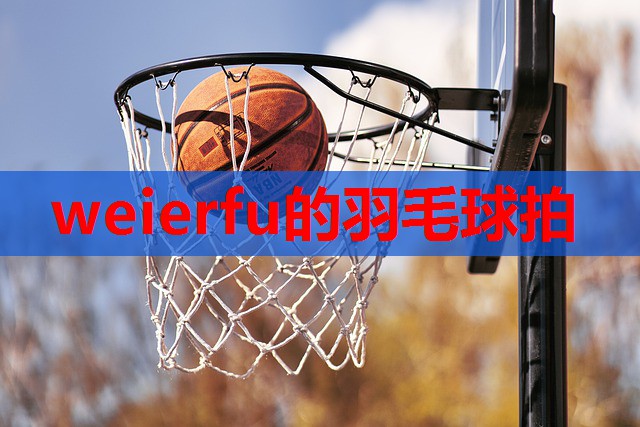 weierfu的羽毛球拍