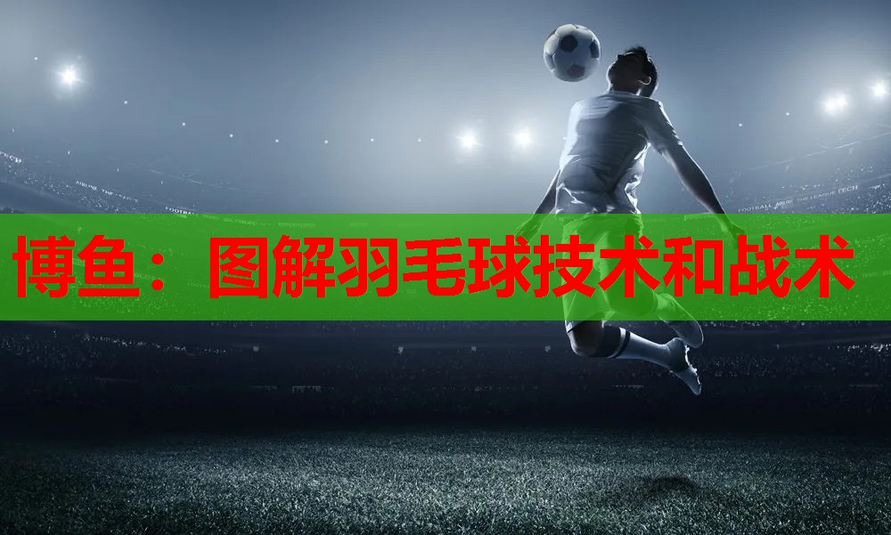 博鱼：图解羽毛球技术和战术