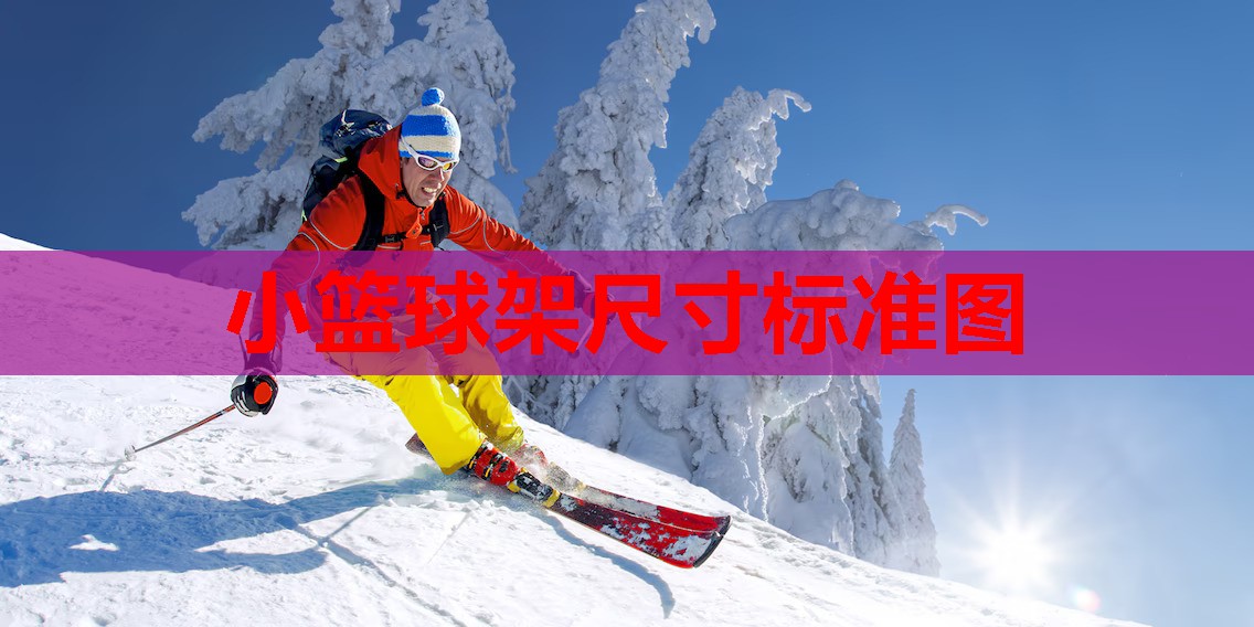 小篮球架尺寸标准图