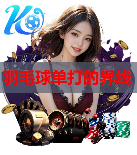 羽毛球单打的界线