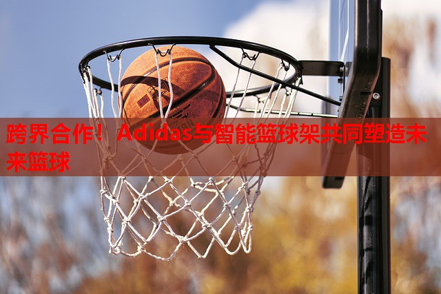 跨界合作！Adidas与智能篮球架共同塑造未来篮球