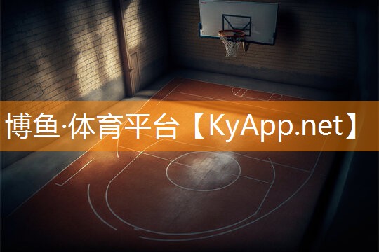 室外乒乓球台罩