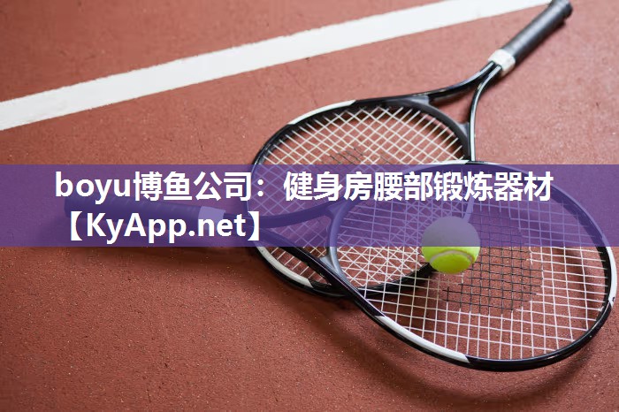 健身房腰部锻炼器材