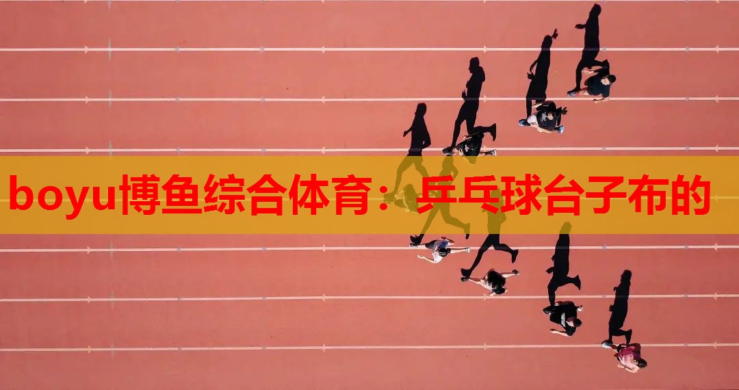 乒乓球台子布的