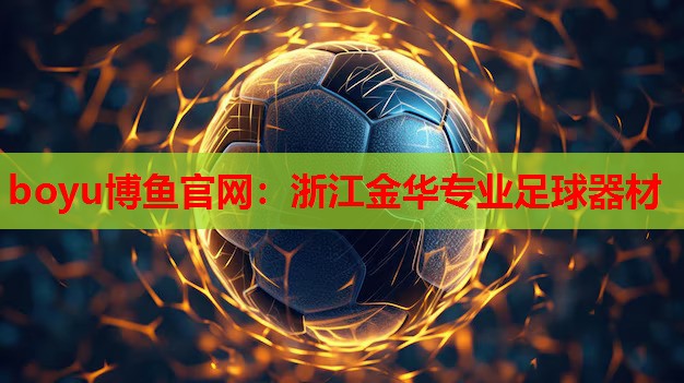 浙江金华专业足球器材