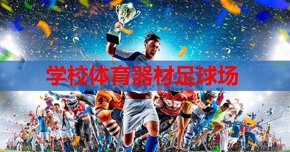 学校体育器材足球场