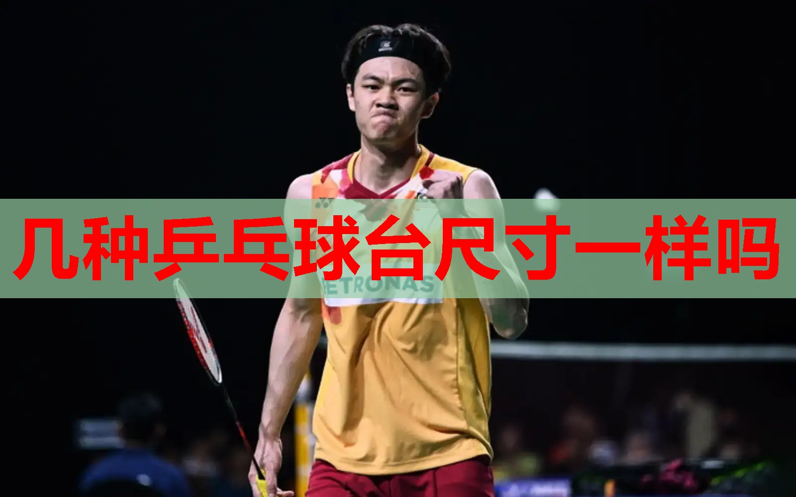 几种乒乓球台尺寸一样吗