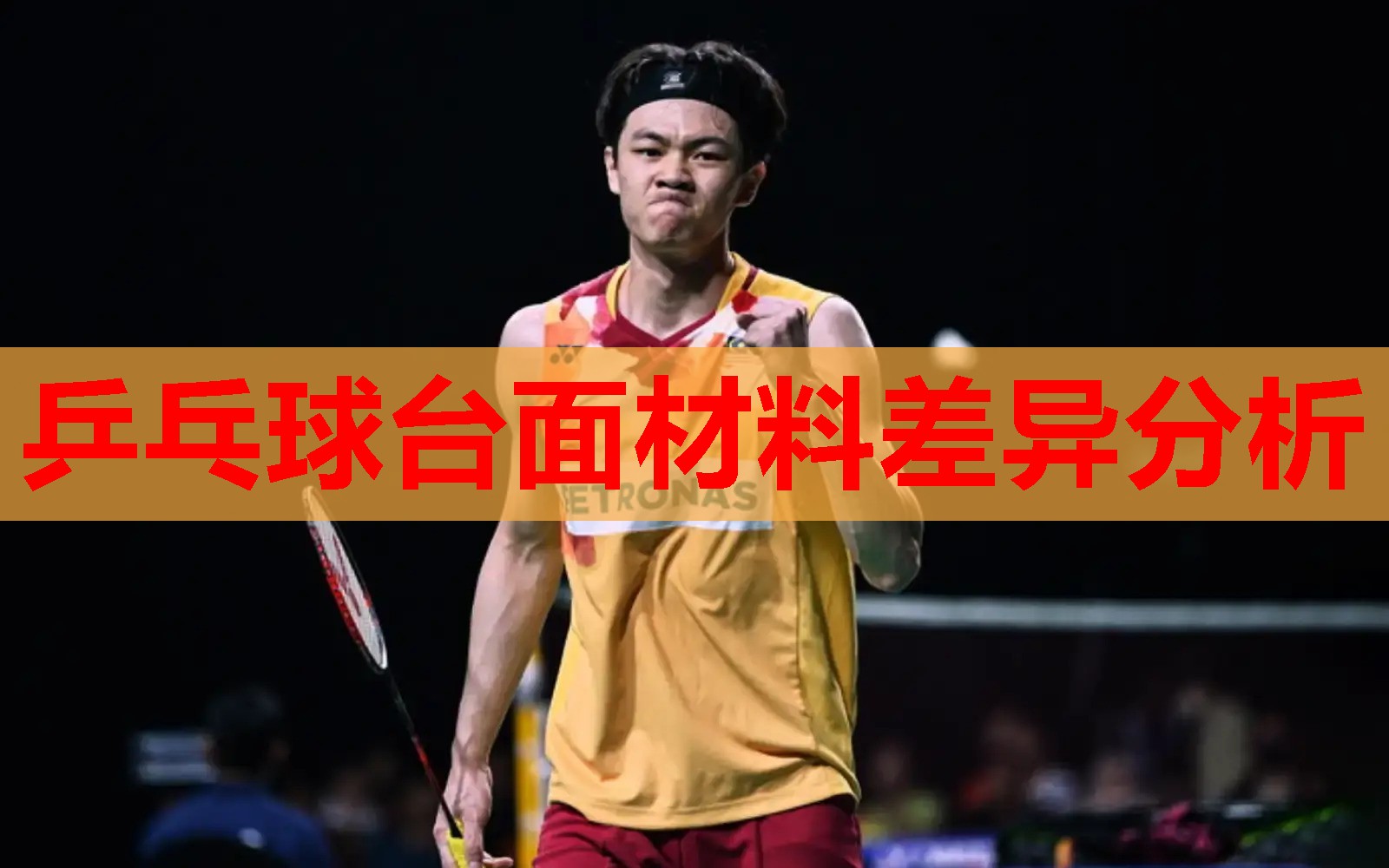 乒乓球台面材料差异分析
