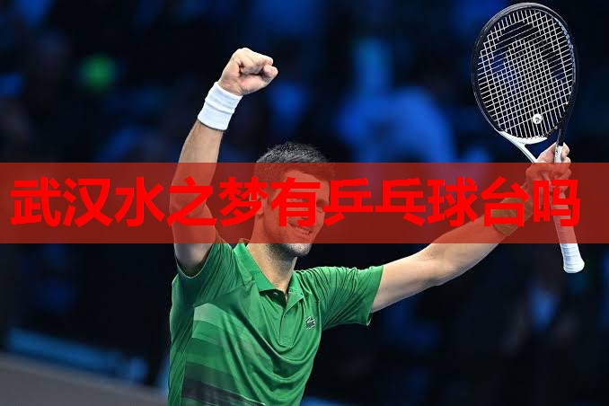武汉水之梦有乒乓球台吗