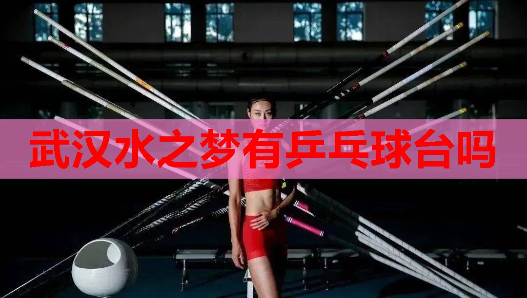 武汉水之梦有乒乓球台吗