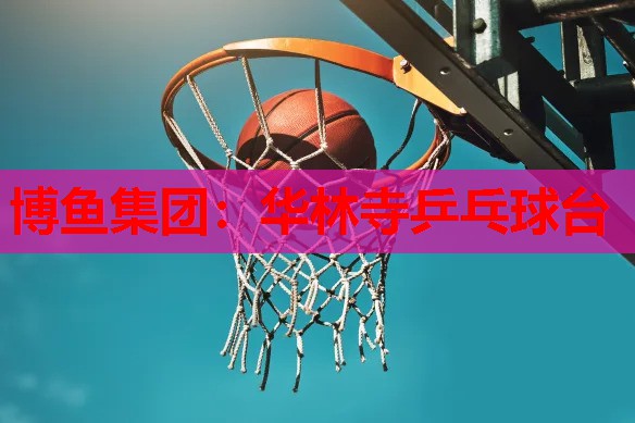 华林寺乒乓球台