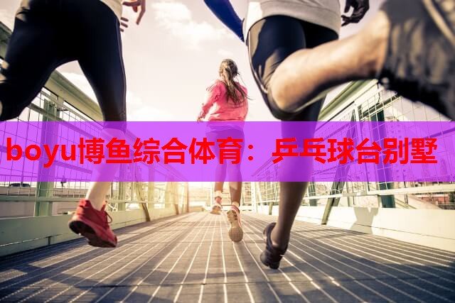 乒乓球台别墅