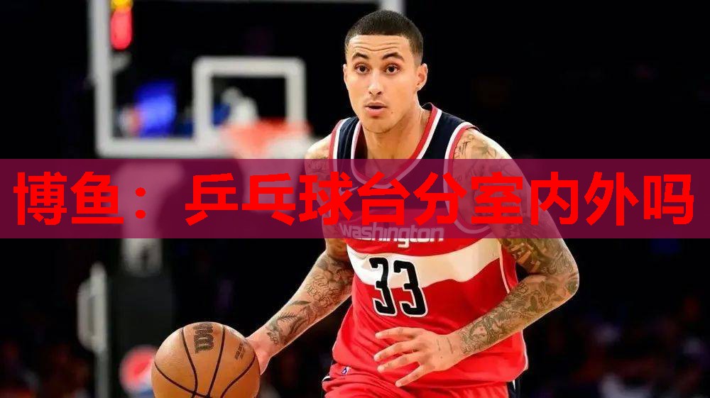 乒乓球台分室内外吗