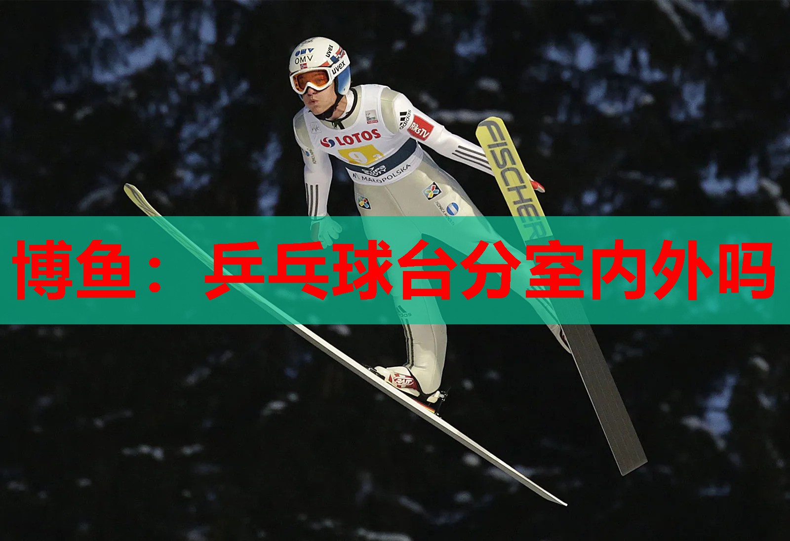乒乓球台分室内外吗