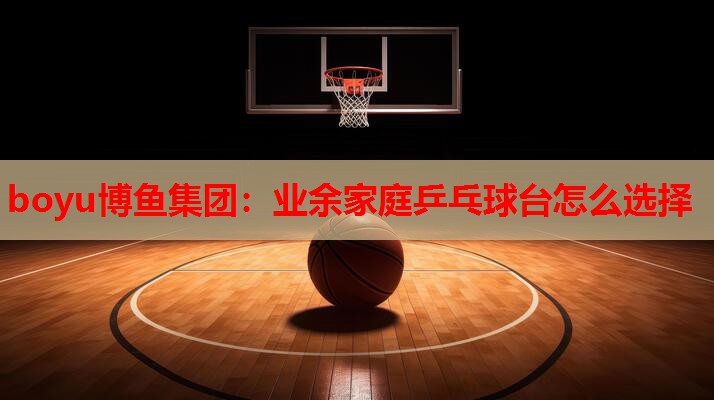 业余家庭乒乓球台怎么选择