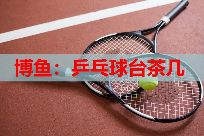 乒乓球台茶几