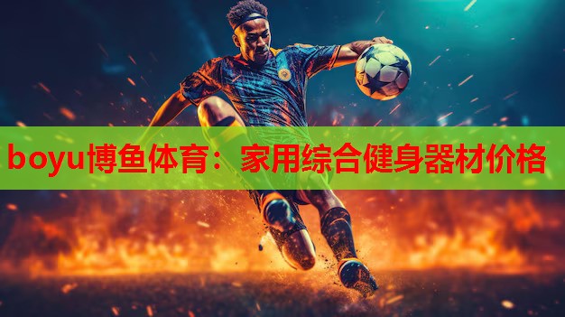 家用综合健身器材价格