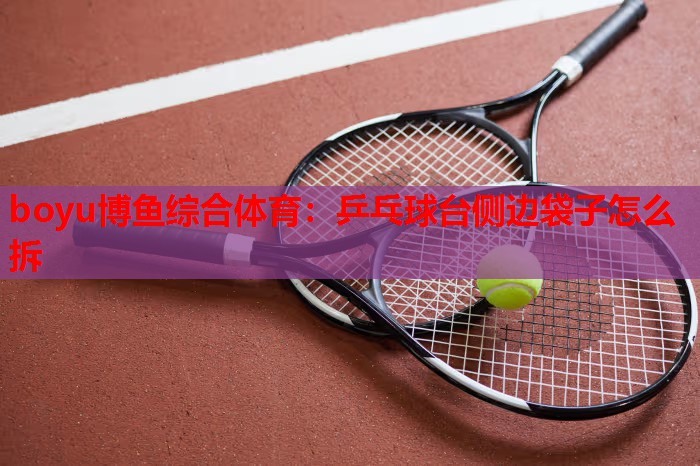 乒乓球台侧边袋子怎么拆