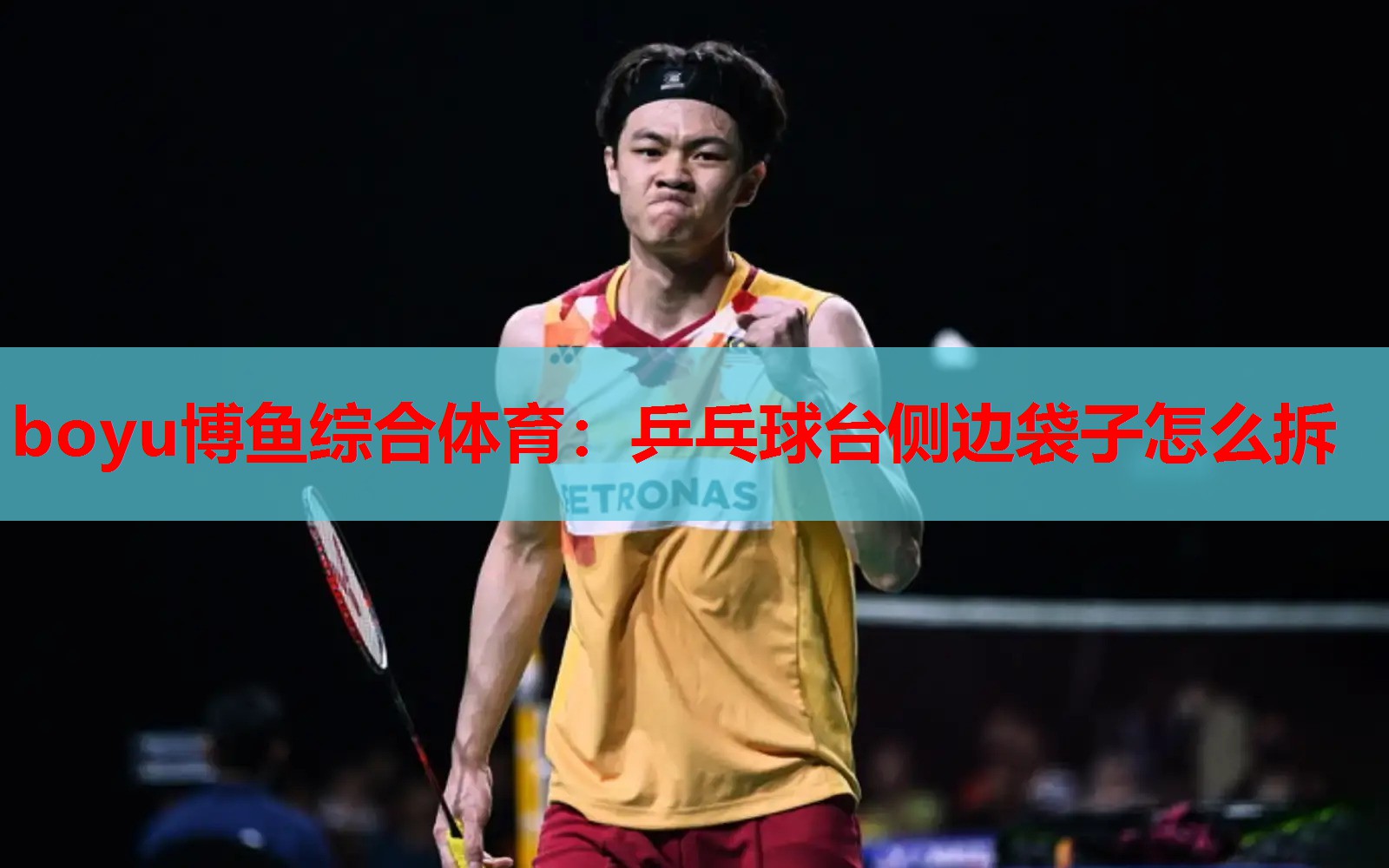 乒乓球台侧边袋子怎么拆