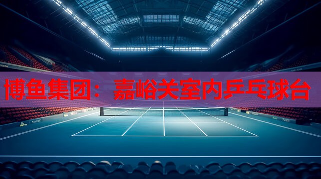 嘉峪关室内乒乓球台