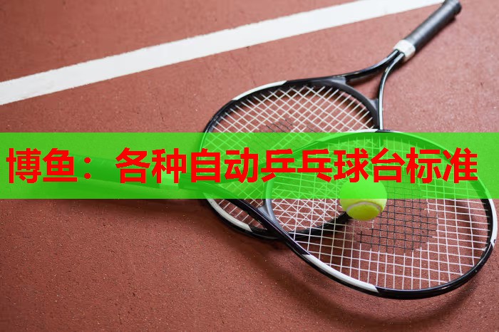各种自动乒乓球台标准