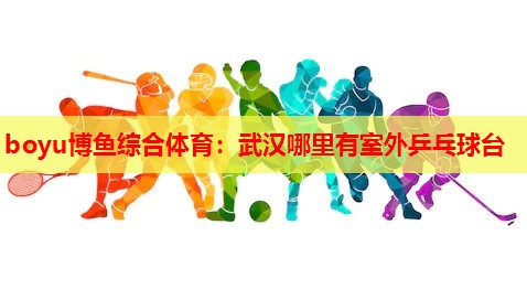 武汉哪里有室外乒乓球台