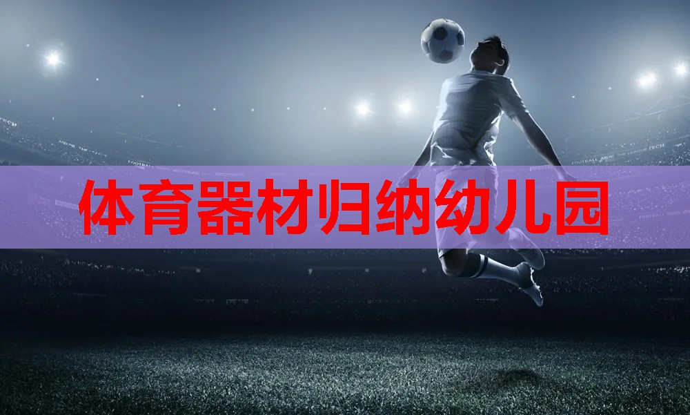 体育器材归纳幼儿园