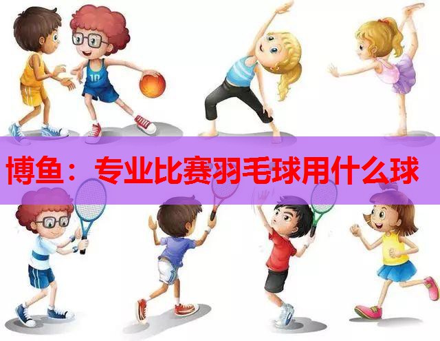专业比赛羽毛球用什么球