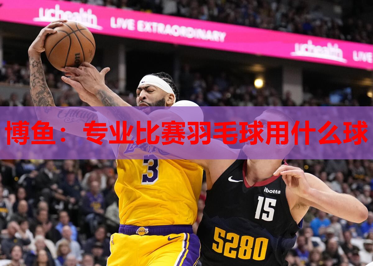 专业比赛羽毛球用什么球