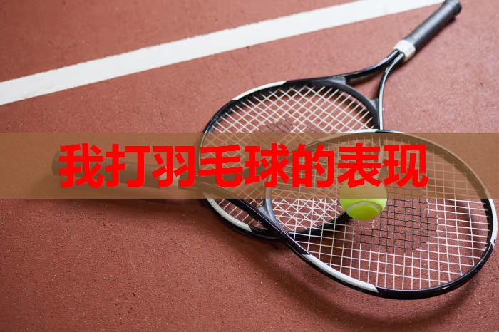 我打羽毛球的表现
