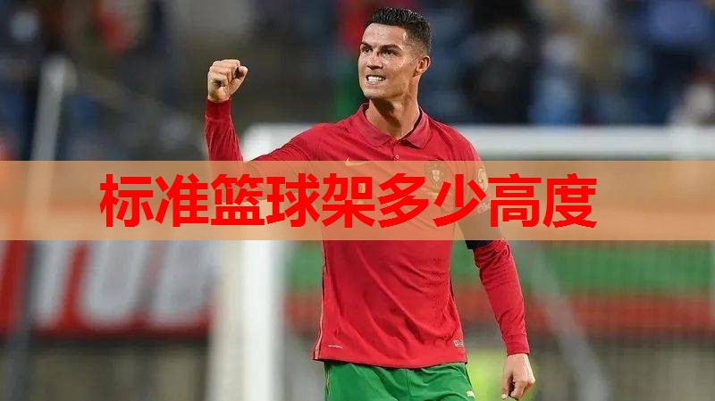标准篮球架多少高度