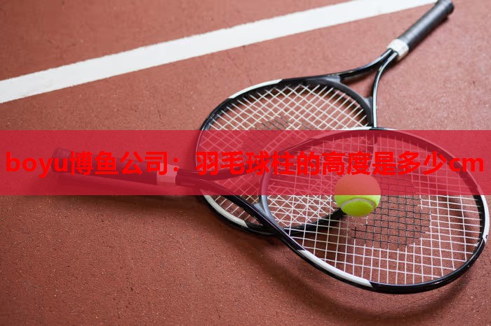 羽毛球柱的高度是多少cm