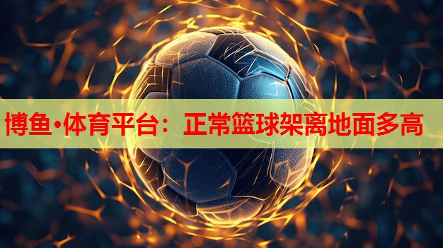 正常篮球架离地面多高