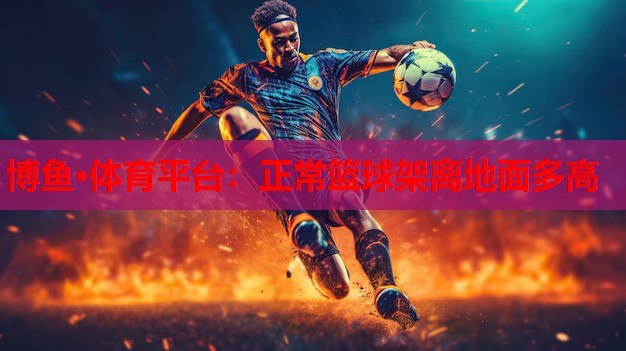 正常篮球架离地面多高