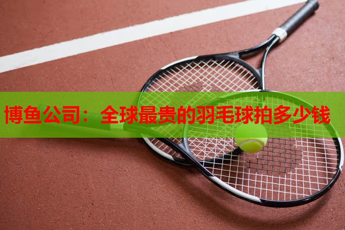 全球最贵的羽毛球拍多少钱