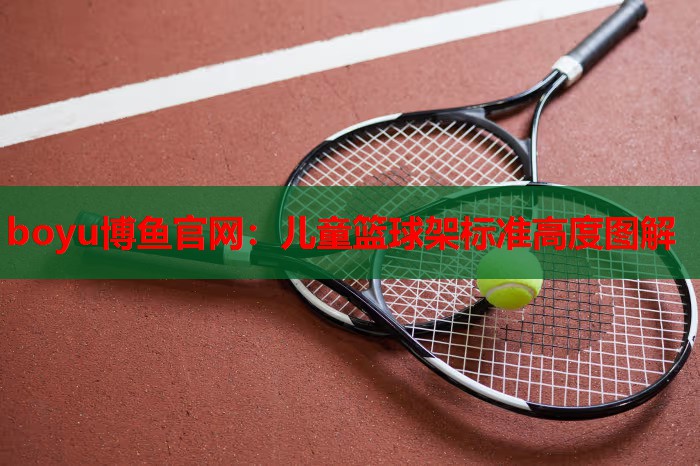 儿童篮球架标准高度图解