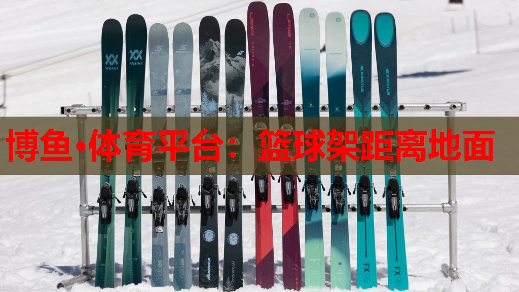 篮球架距离地面