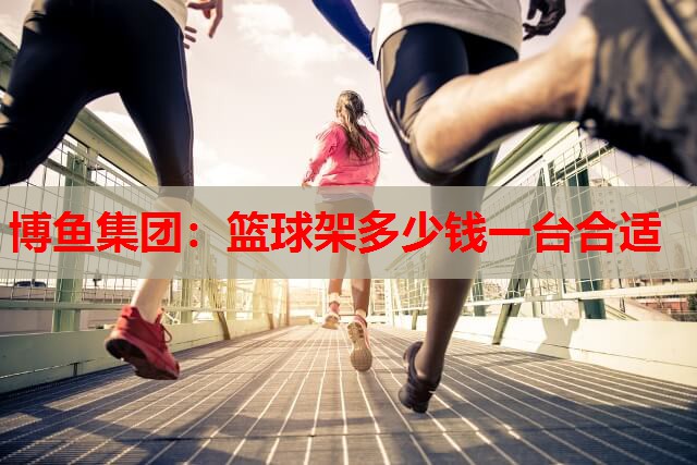 篮球架多少钱一台合适